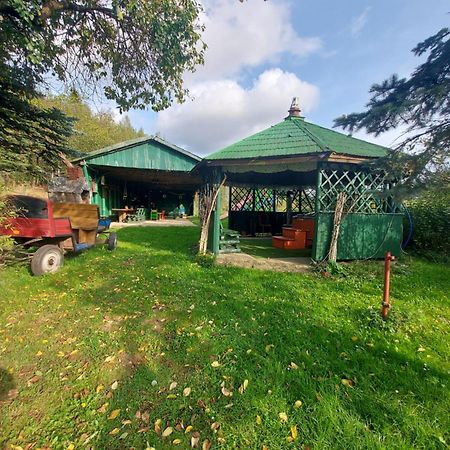 Agroturystyka Zielone Wzgorze Sikorzyno Dış mekan fotoğraf